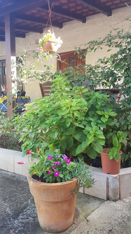 Apartment Ecio 班约勒 外观 照片